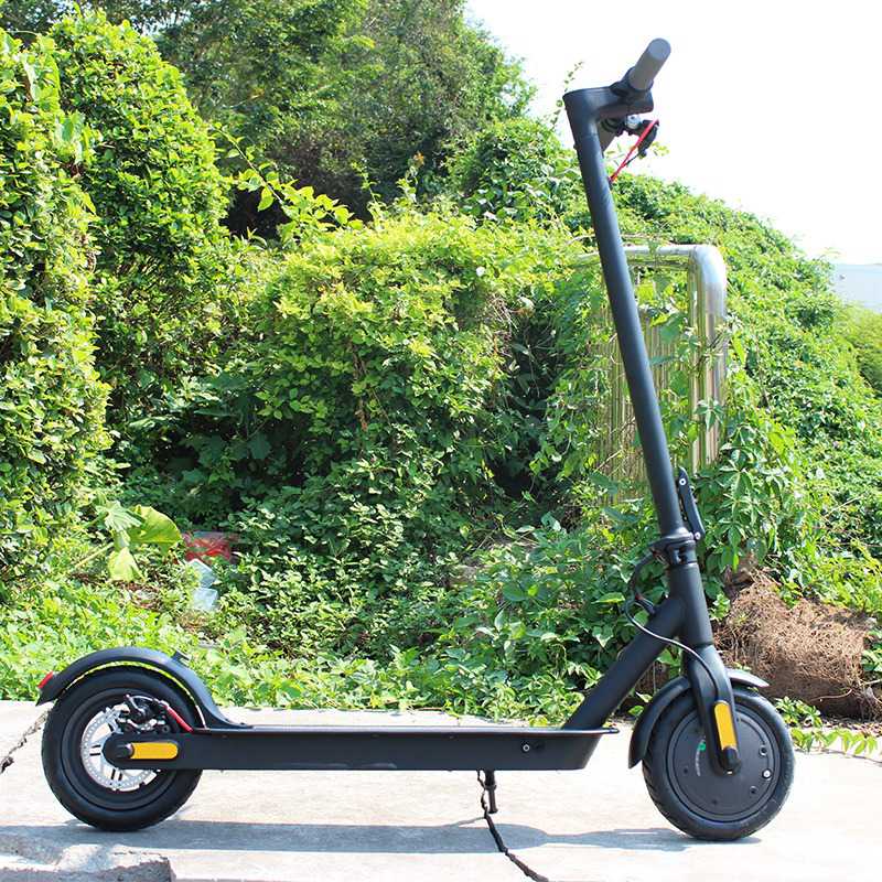 350 watt electric scooter