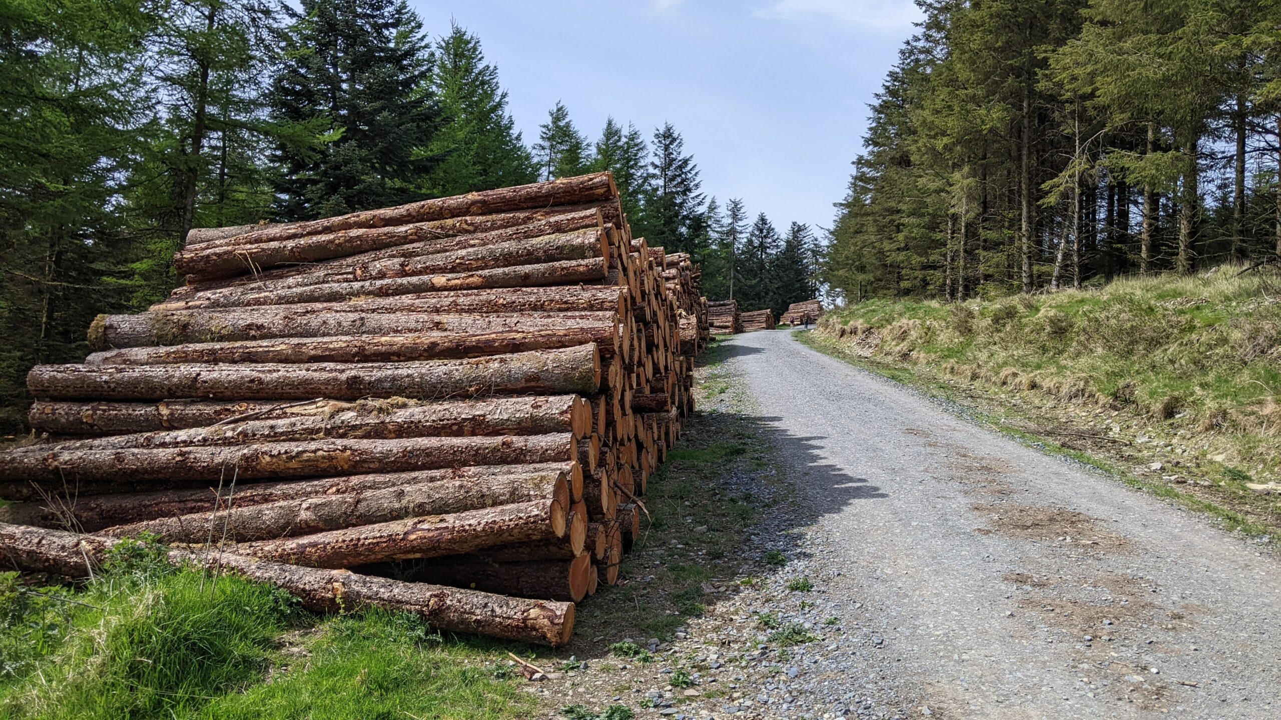 Coillte sets out legal position over banning gravel riders as events cancelled