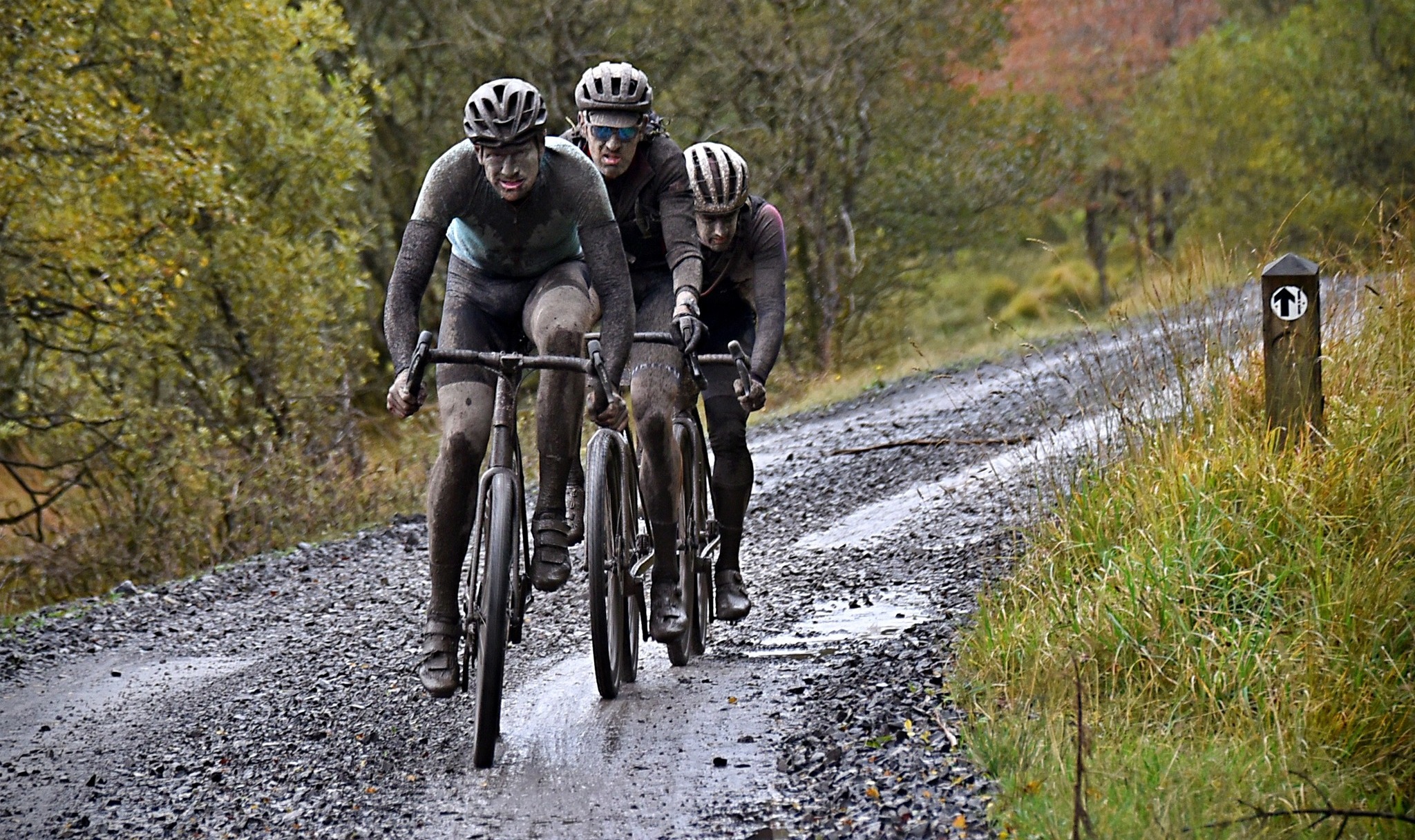 The (absolute) state of gravel cycling in Ireland amid Coillte ban