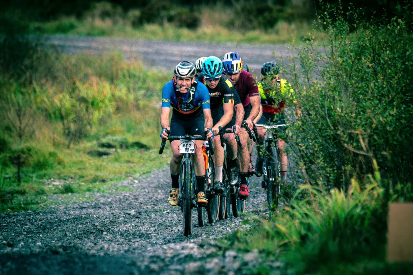 Gravel Revolution: Coillte Opens Forest Trails for Racing Breakthrough!