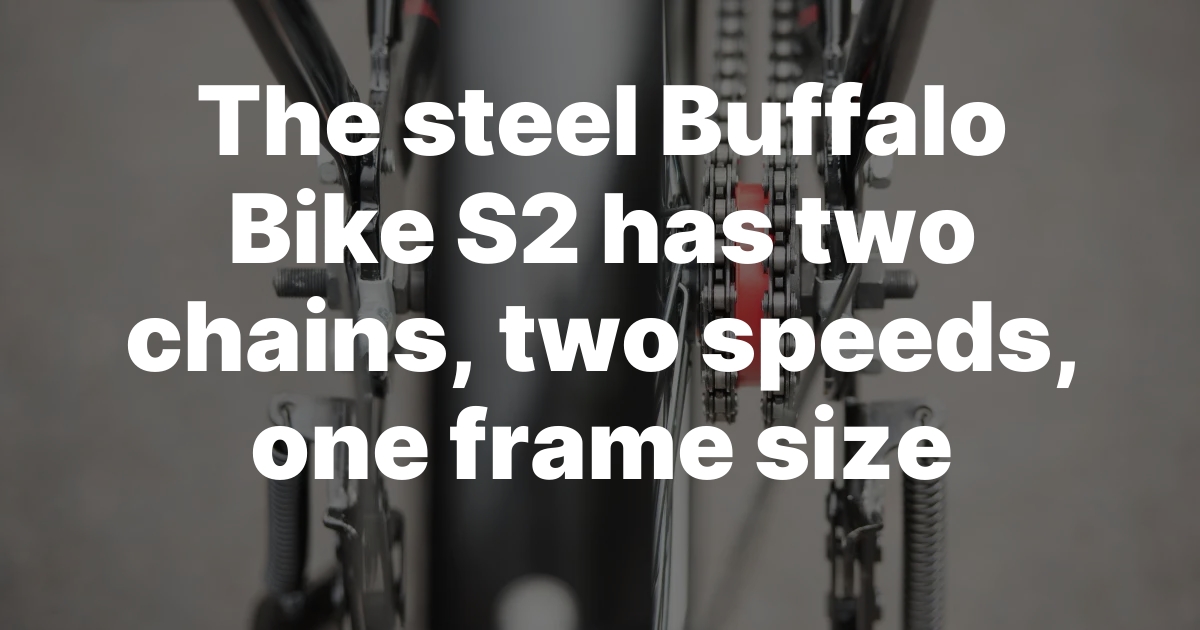 Double the Chain, Double the Fun: The Steel Buffalo Bike S2